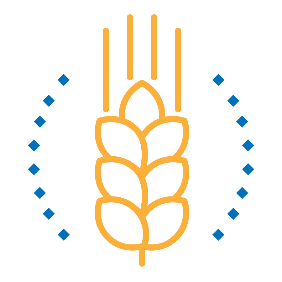 Gluten Sensitivity Antibodies Cascade